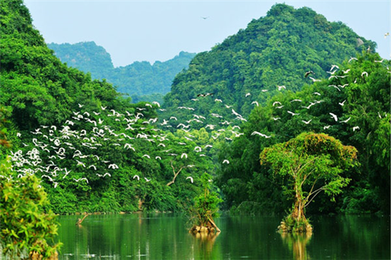 Hà Nội - Chùa Bái Đính - Hoa Lư - Vườn Chim Thung Nham, 2N/1Đ